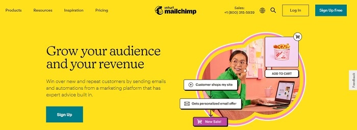 mailchimp-email-marketing-servis