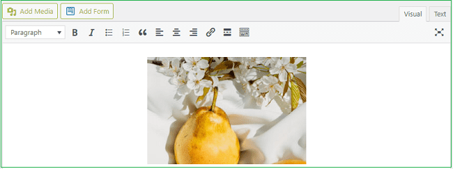 Primer-snimka-ekrana-slike-u-vizuelnom editoru (2)